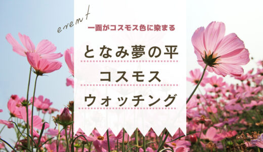 【イベント】10/9(土)～10/17(日)2021となみ夢の平コスモスウォッチング