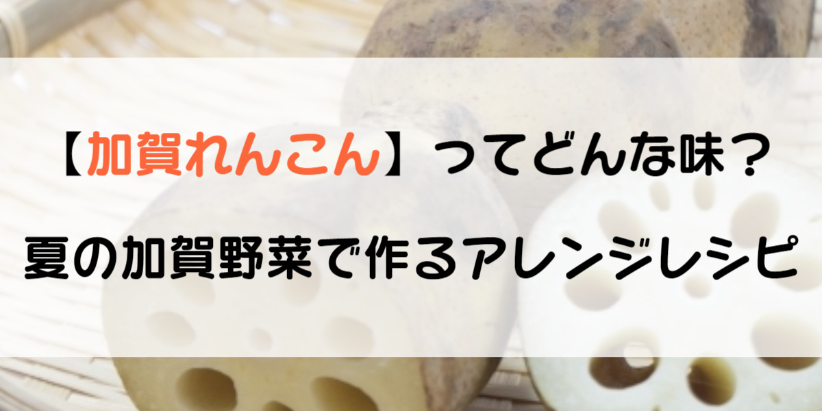 加賀れんこん の特徴とは モチモチ食感すりおろし簡単レシピ ワタシゴト